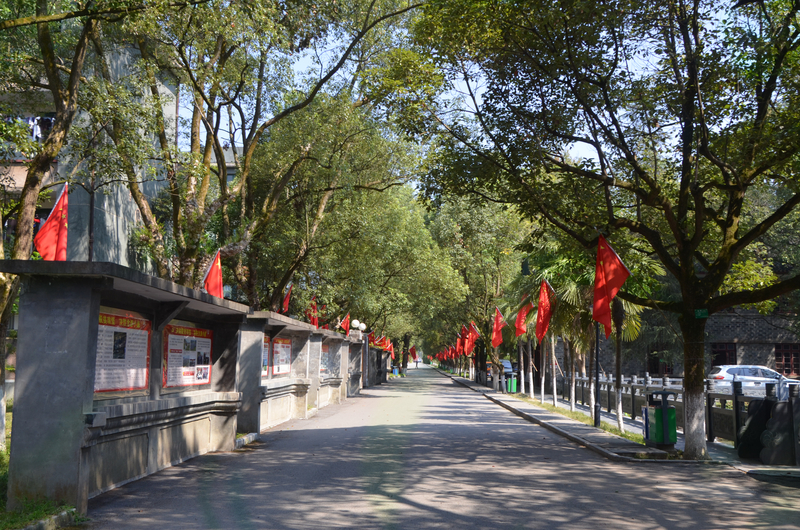 1567995400173075787.jpg DSC_0545.jpg