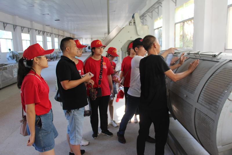 1596688992659068137.jpg 图2-志愿者们在中百茶叶余总的带领下深入茶叶加工车间.jpg