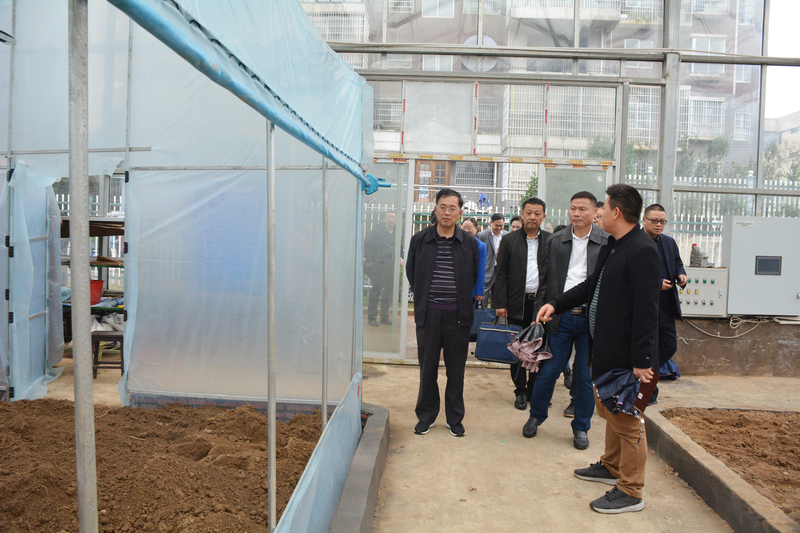 1636088363050016761.jpg 6.jpg