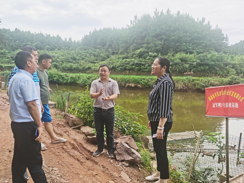 1656037453066049346.jpg a0d036cf012042d6f3dce86a5f5a372.jpg